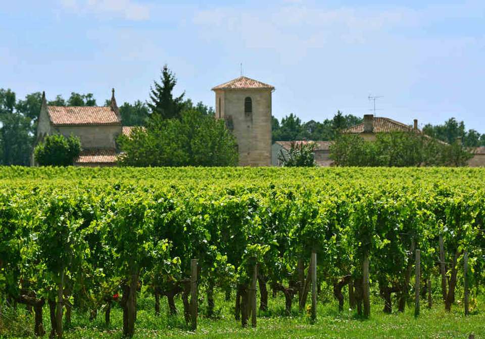 Enchanting Gironde, Garonne and Dordognes Cruise - undefined - Image 5