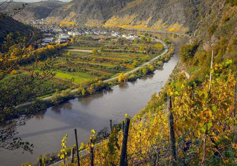 Enchanting Loire Valley A Royal Legacy Cruise - undefined - Image 1