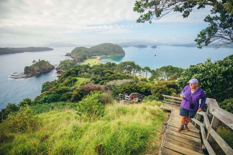 Enchanting Northland trip - alternative tour available