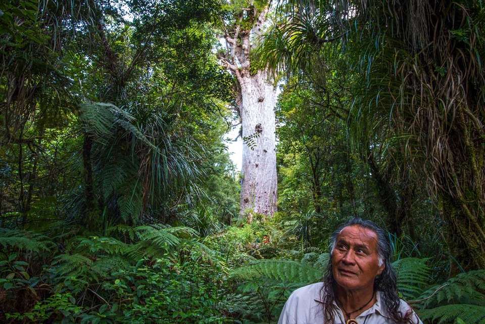Enchanting Northland - Intrepid Travel - New Zealand - Image 6