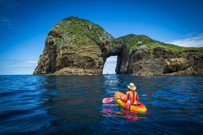 Enchanting Northland trip - alternative tour available