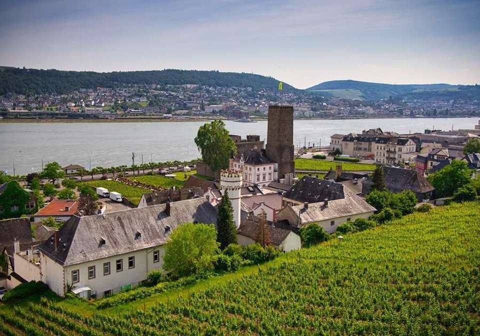 Enchanting Rhine Moselle and Mine Cruise - undefined - Image 19