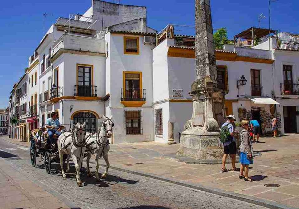 Enchanting Southern Spain Self-Drive - Indus Travels - Spain - Image 16