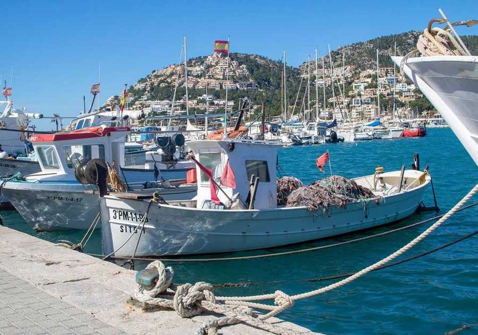 Enchanting Spain and Mallorca Island - Indus Travels - Spain - Image 4
