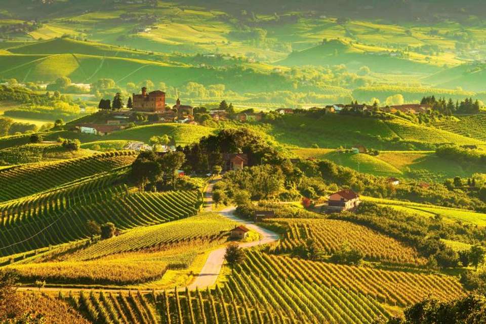 Enchanting Tuscany with Cinque Terre - Omega Tours - Italy - Image 5