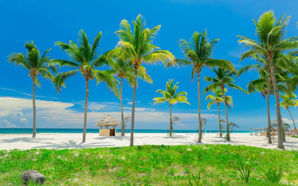 Entire Cuba - undefined - Image 5