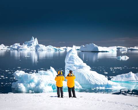 Epic Antarctica: The Falklands, South Georgia And Crossing The Circle - January 2026