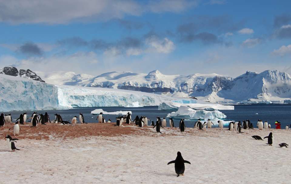 Epic Antarctica: Falklands, South Georgia & Antarctic Circle Crossing via Buenos Aires - Exodus Adventure Travels - Argentina - Image 2