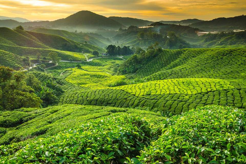 Epic Bangkok to Singapore - Intrepid Travel - Thailand - Image 2