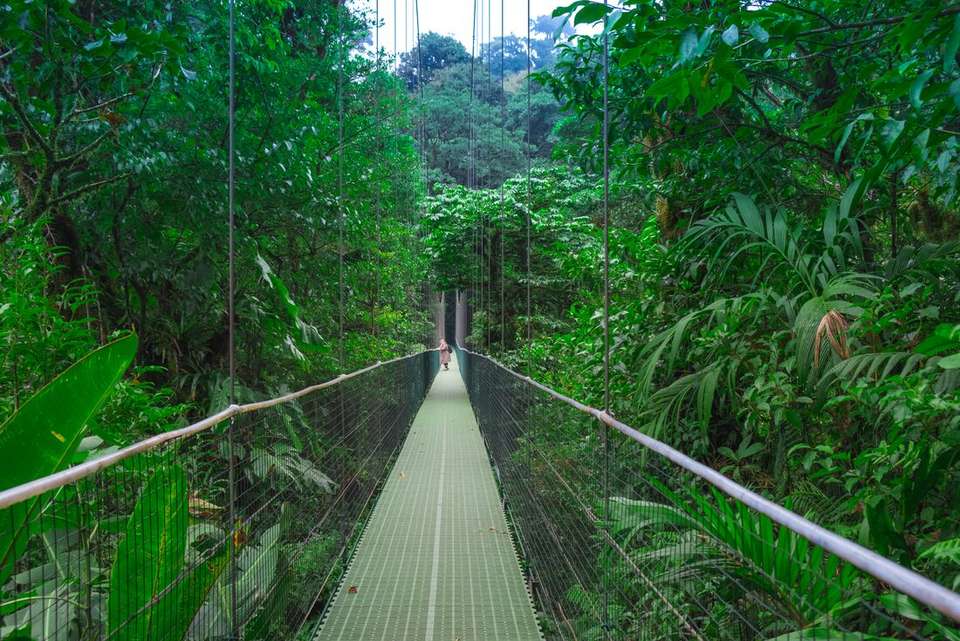 Epic Central America - Intrepid Travel - Mexico - Image 10