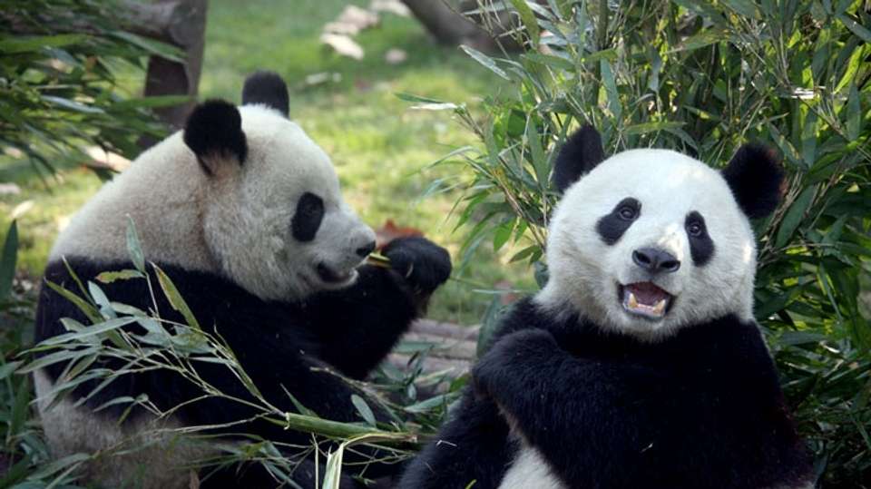 Epic China Adventure - Travel China Guide - China