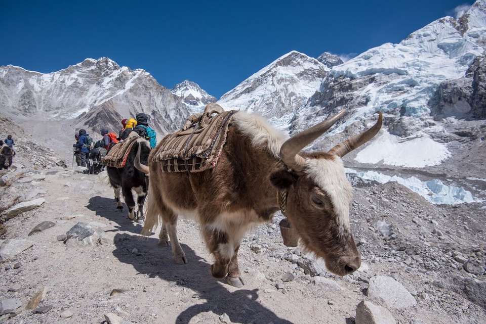 Epic Everest Base Camp Trek - Intrepid Travel - Nepal - Image 3
