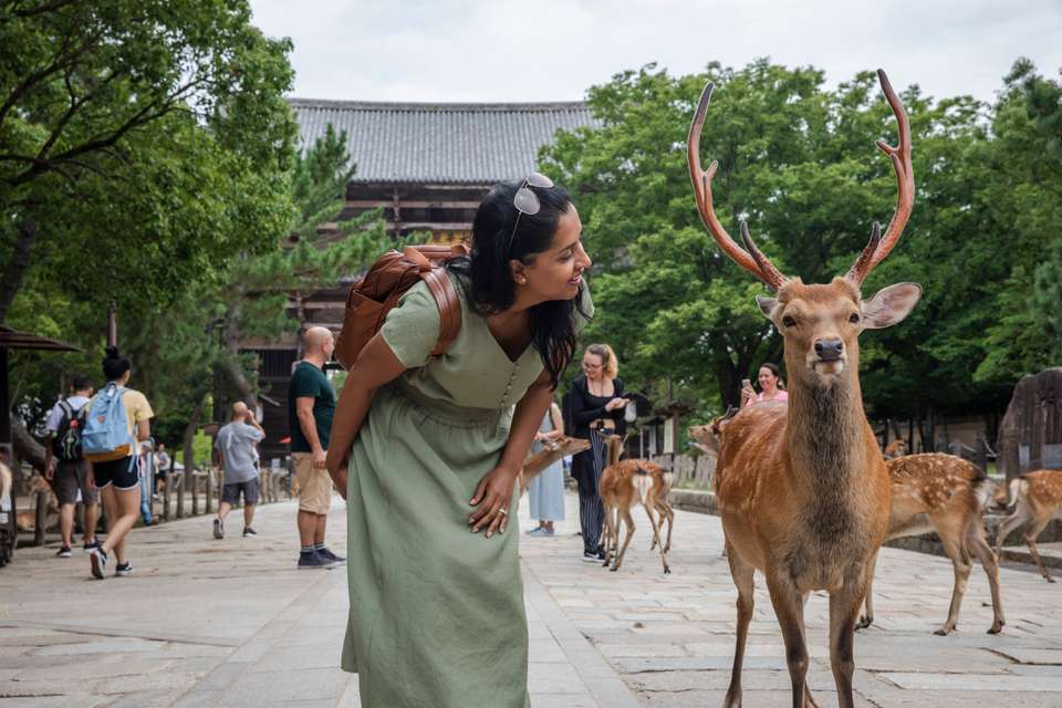Epic Japan: Speed Trains & Street Food - G Adventures - Japan