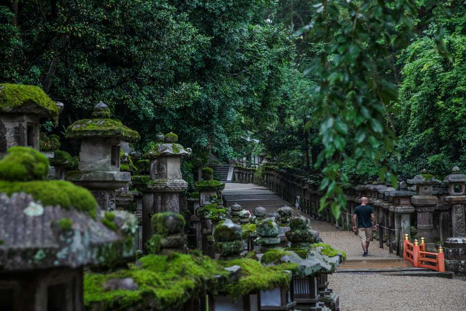 Epic Japan: Speed Trains & Street Food - G Adventures - Japan