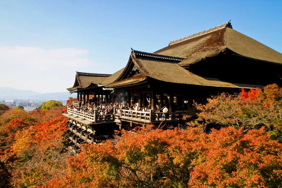 Epic Japan: Speed Trains & Street Food - G Adventures - Japan