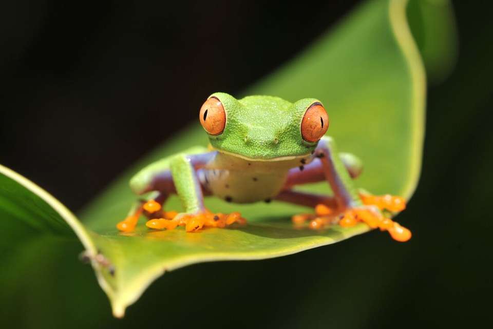 Epic Mexico to Costa Rica - Intrepid Travel - Mexico - Image 10