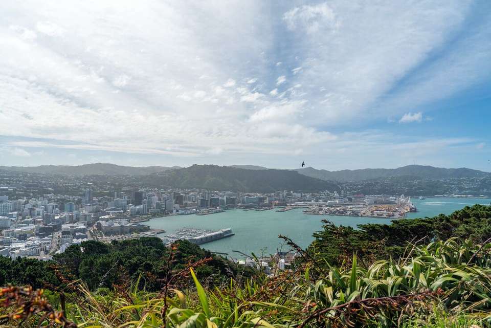 Epic New Zealand - Intrepid Travel - New Zealand - Image 6