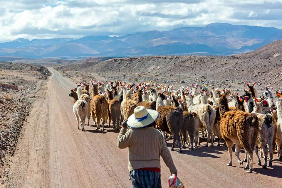 Epic South America - Intrepid Travel - Peru - Image 4
