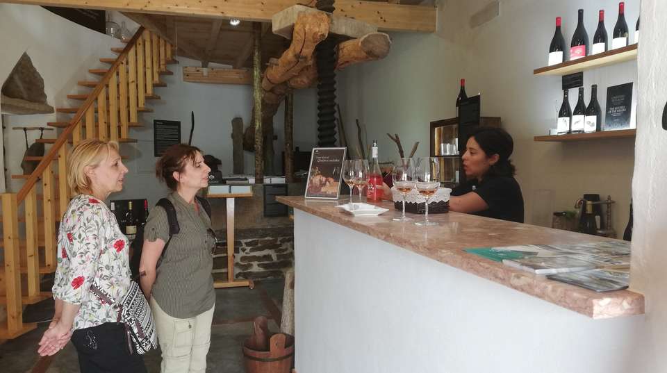 Ericeira & Mafra’s Wonders – Rural Beach & Wine Tour - Wonder Van - Portugal - Image 8