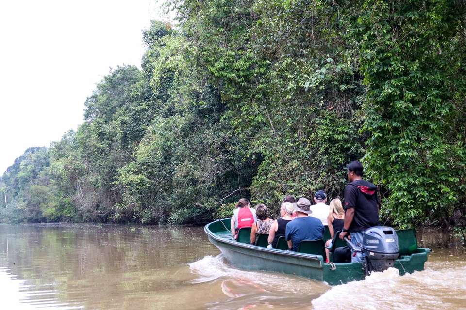 Escorted Borneo Adventure - Premium Tour - Tweet World Travel - Malaysia - Image 5