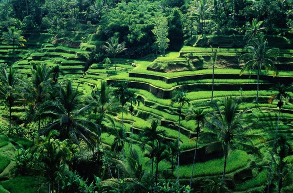Image 5 of 7
