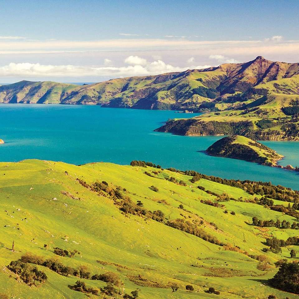 Essence of New Zealand - Aat Kings - New Zealand - Image 8
