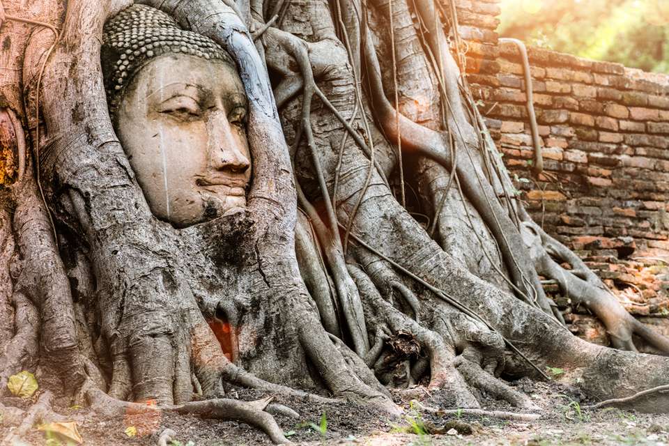 Essence of Thailand – Ending in Chiang Rai - Europamundo - Thailand - Image 3