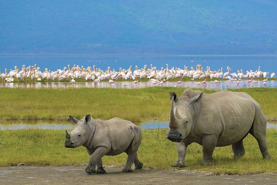 Essential African Safari - Intrepid Travel - Zimbabwe - Image 8