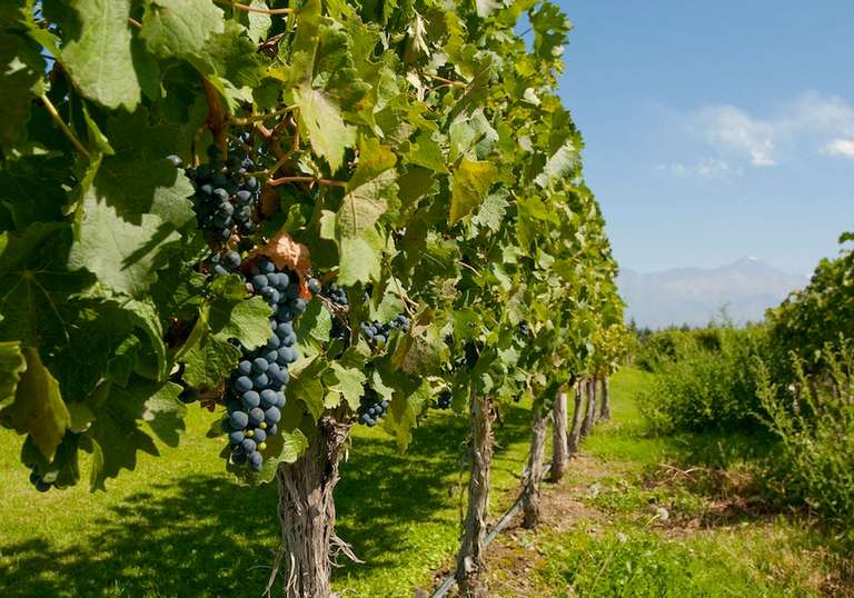 Essential Argentina And Chile trip - alternative tour available