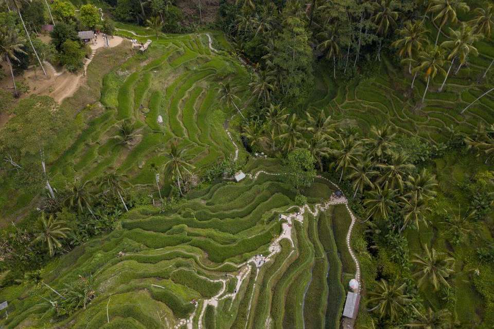 Essential Bali & Gili Islands - Intrepid Travel - Indonesia - Image 6