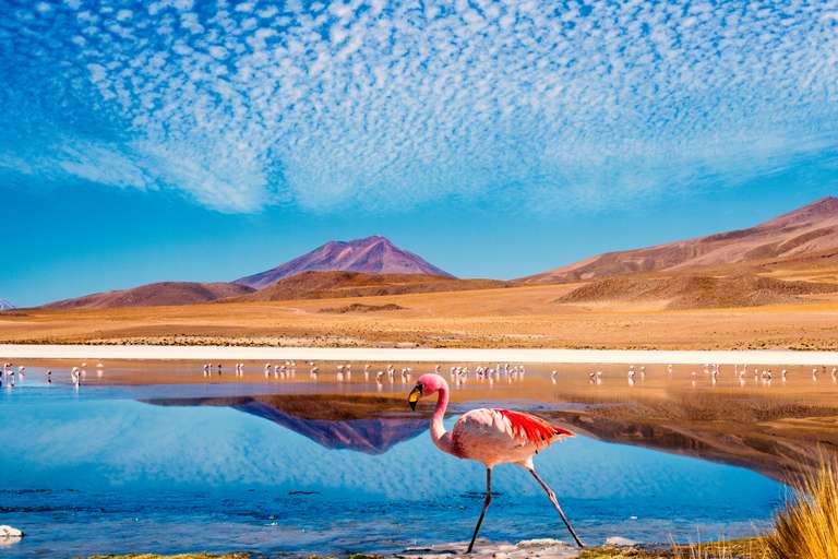 Essential Bolivia - September 2027