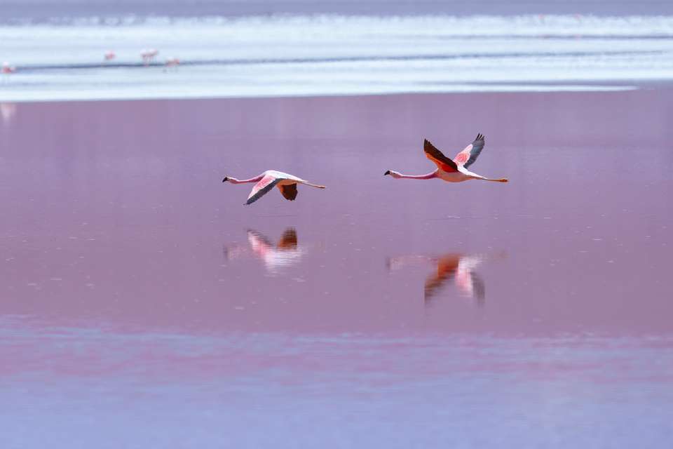 Essential Bolivia - Exodus Adventure Travels - Bolivia - Image 14