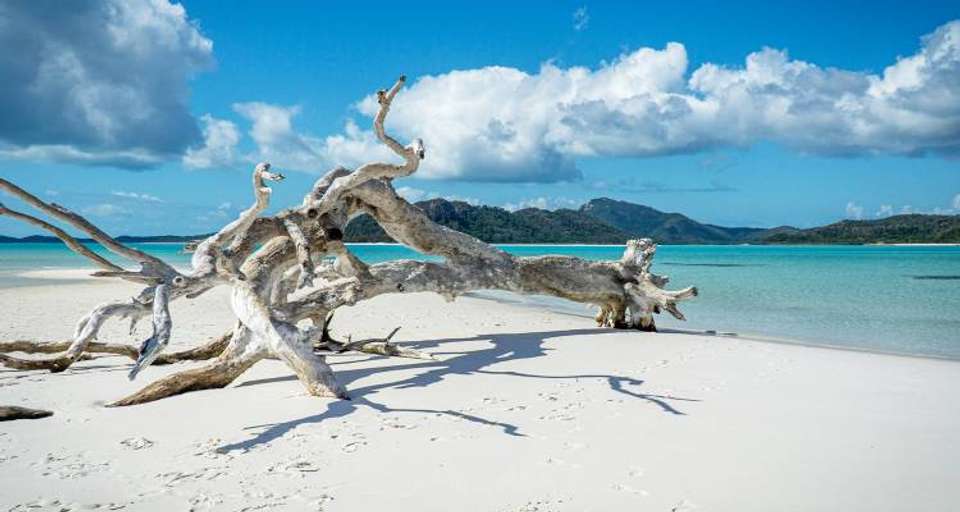 Essential Byron to Cairns - 13 days - undefined - Image 5
