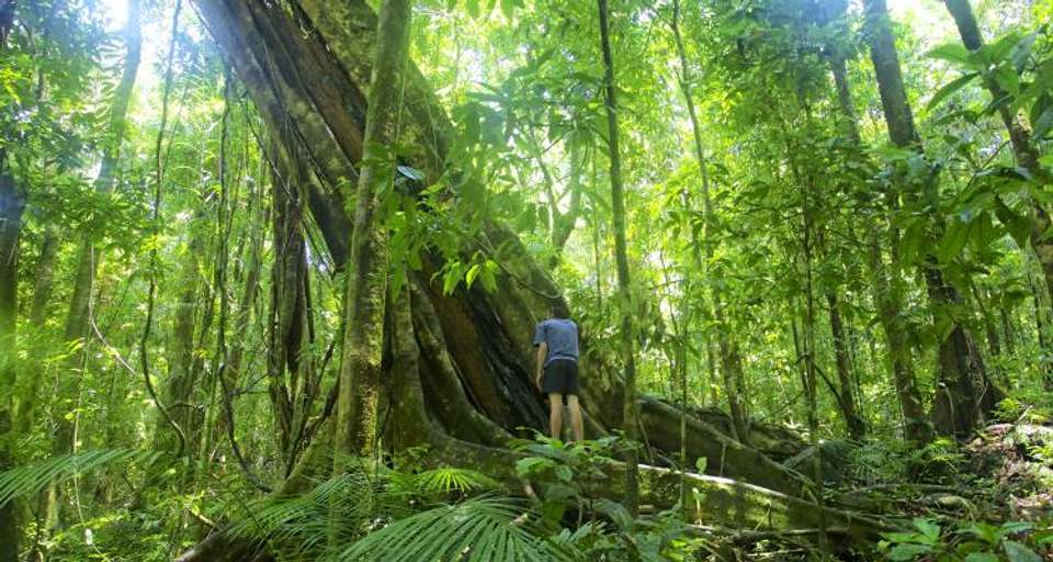 Essential Byron to Cairns - 13 days - undefined - Image 8