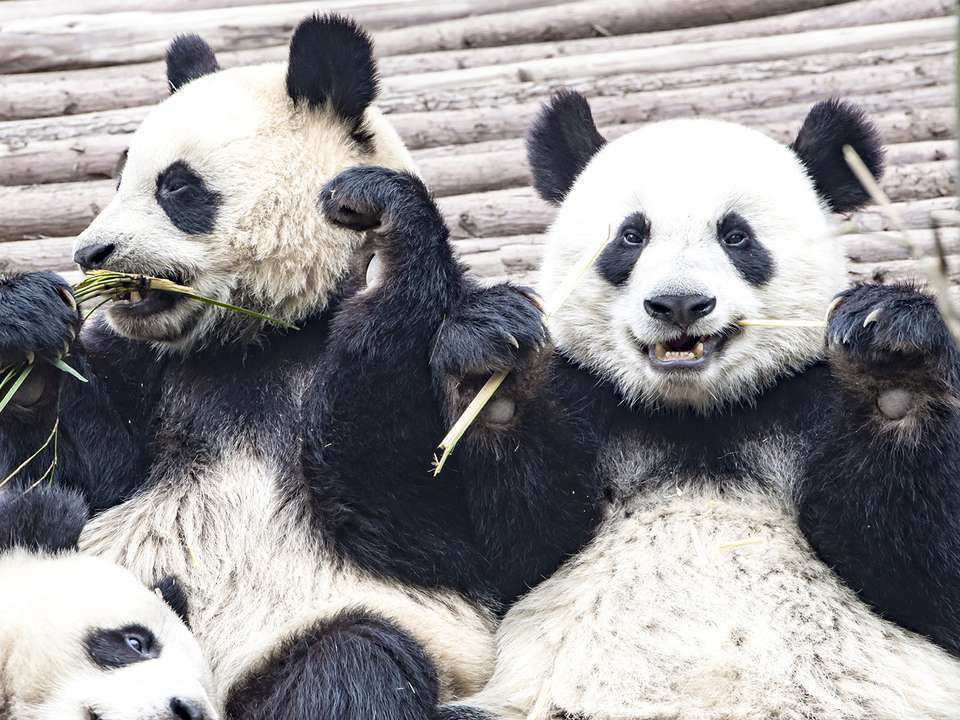 Essential China From Hong Kong - 27 days - On The Go Tours - Hong Kong