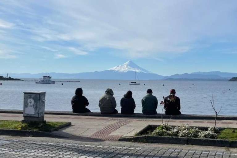 Essential City Tour of Puerto Montt & Puerto Varas – Private Service trip - alternative tour available