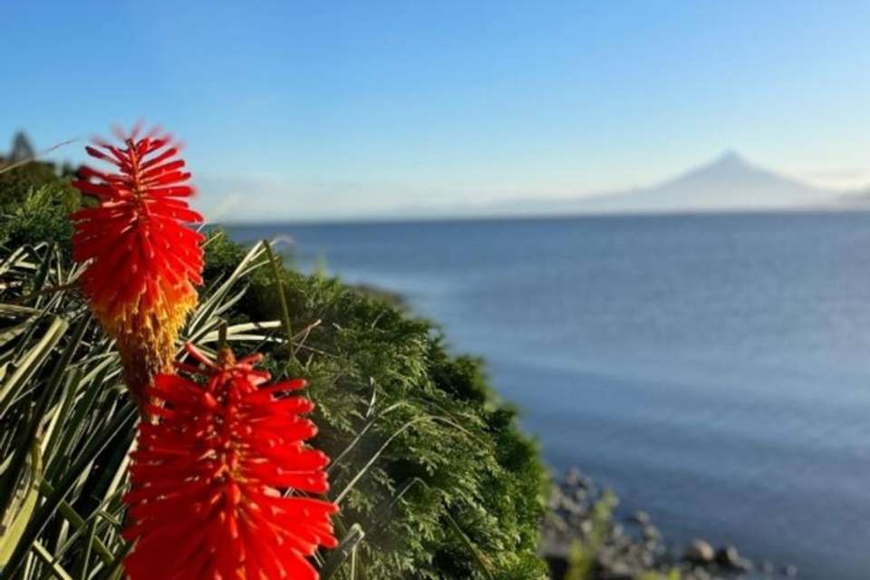 Essential City Tour of Puerto Montt & Puerto Varas – Private Service - undefined - Image 5