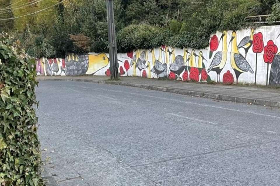 Essential City Tour of Puerto Montt & Puerto Varas – Private Service - undefined - Image 6