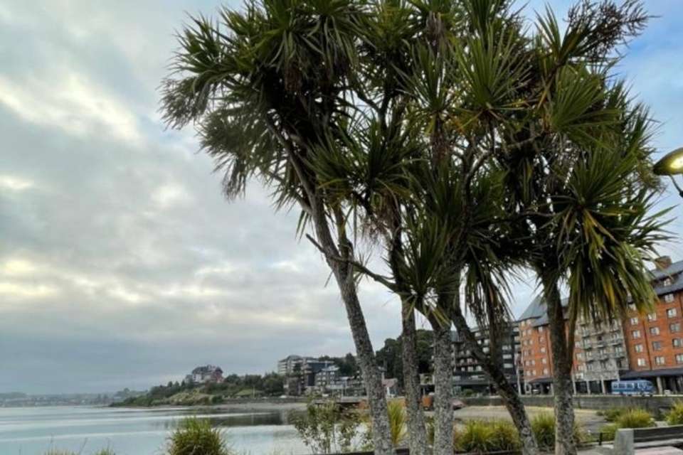 Essential City Tour of Puerto Montt & Puerto Varas – Private Service - undefined - Image 7