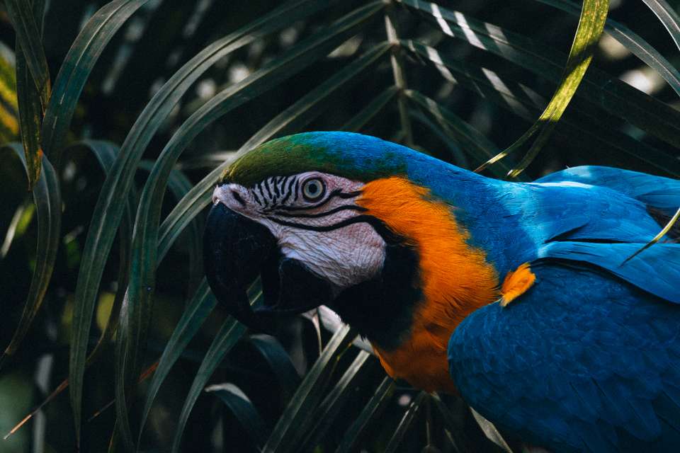 Essential Colombia - Exodus Adventure Travels - Colombia - Image 9