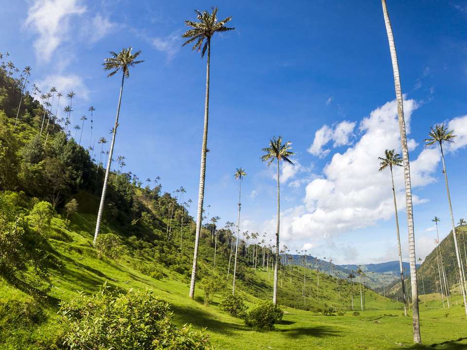 Essential Colombia & Peru - 15 days - On The Go Tours - Colombia - Image 2
