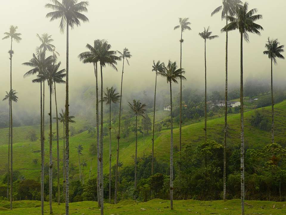 Essential Colombia to Chile - 21 days - On The Go Tours - Colombia - Image 16