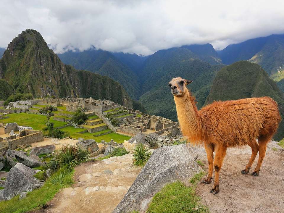 Essential Colombia to Chile - 21 days - On The Go Tours - Colombia - Image 2