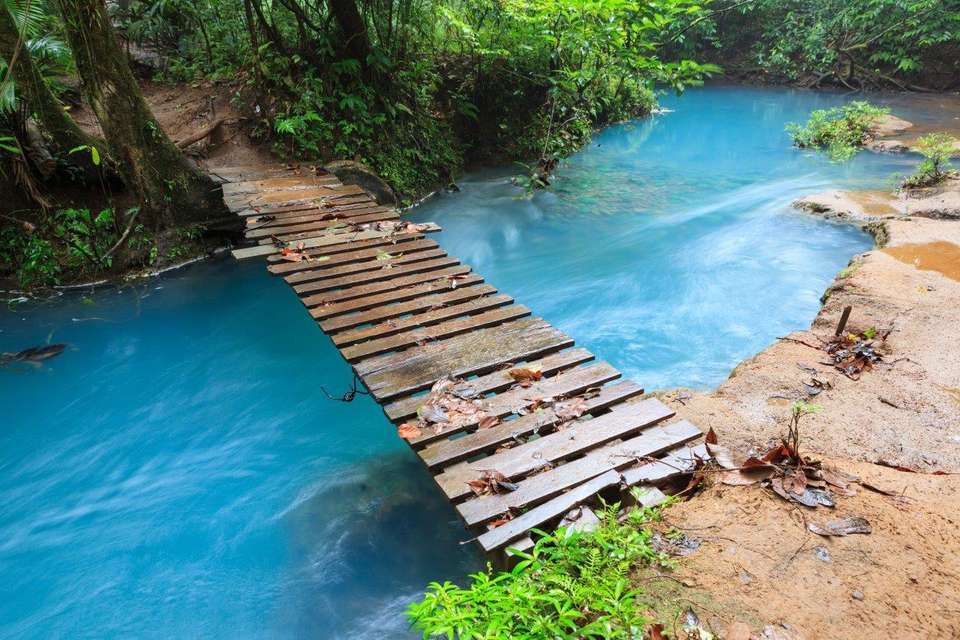Essential Costa Rica - Package With Manuel Antonio National Park - Destination Services - Costa Rica - Image 18