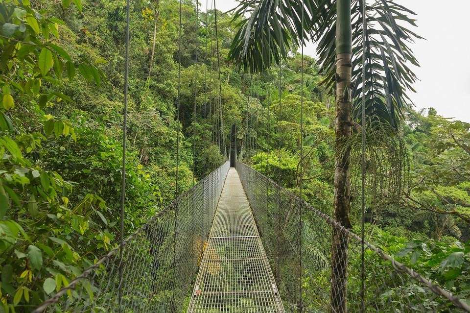 Essential Costa Rica - Package With Manuel Antonio National Park - Destination Services - Costa Rica - Image 15