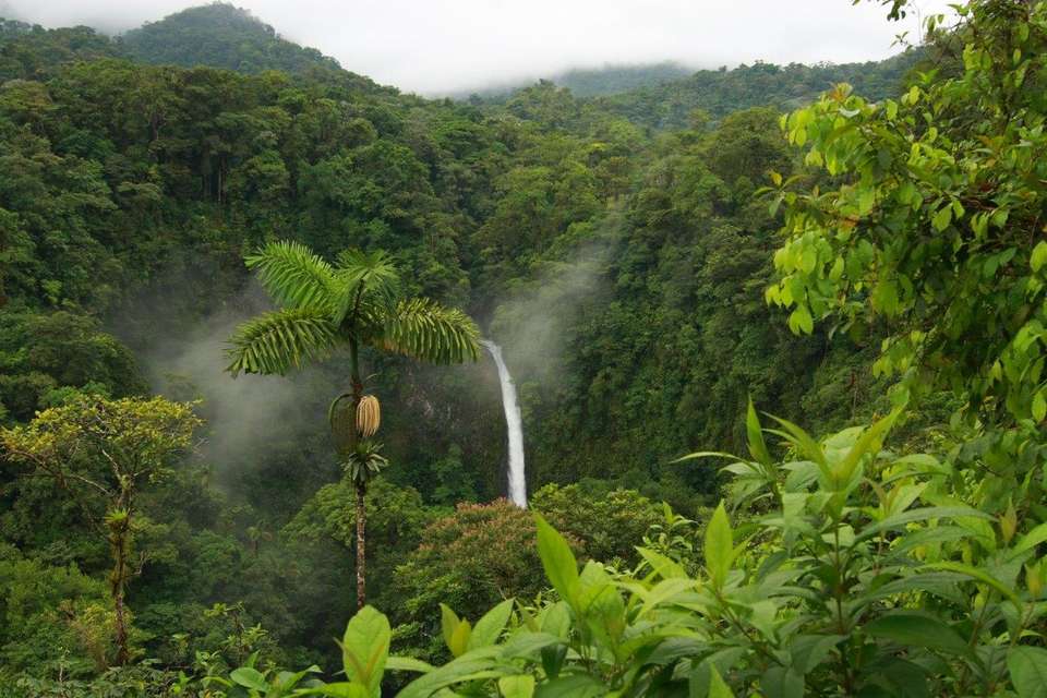 Essential Costa Rica - Package With Manuel Antonio National Park - Destination Services - Costa Rica - Image 14