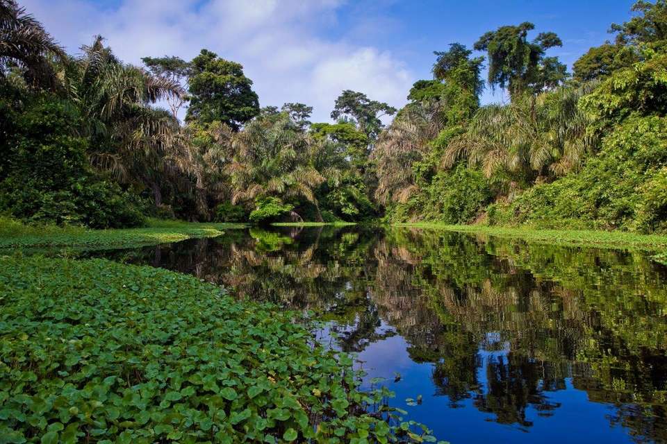 Essential Costa Rica - Package With Manuel Antonio National Park - Destination Services - Costa Rica - Image 5