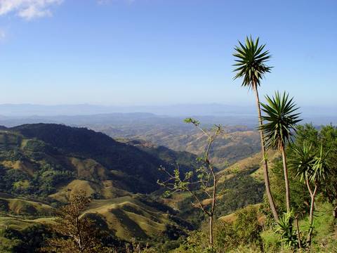 San Jose Active And Outdoor Tour: Essential Costa Rica With Extension To Guanacaste, Tamarindo Beach & San José City