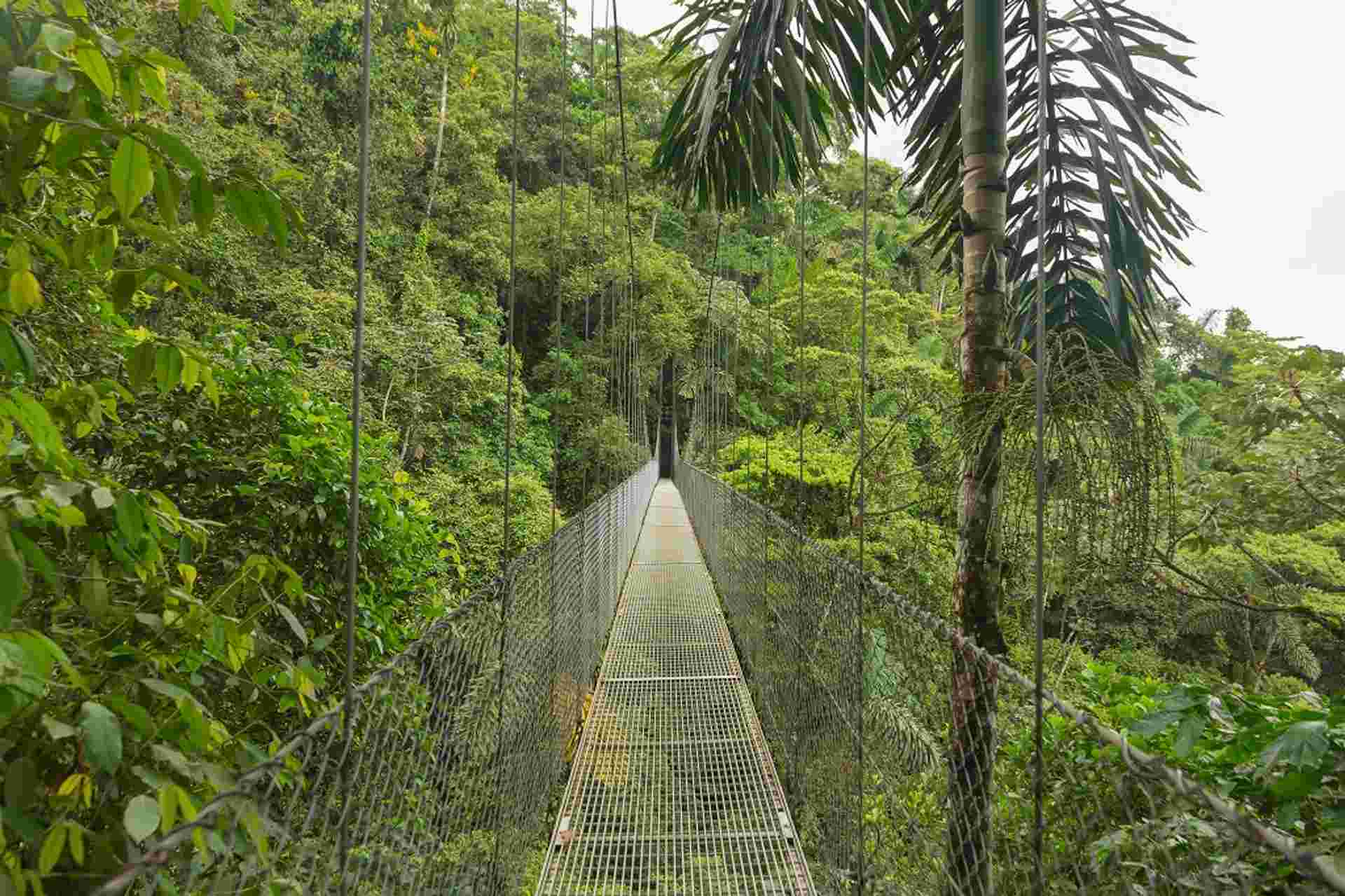 Essential Costa Rica With Extension To Manuel Antonio National Park, Manuel Antonio Beach & San Jose City