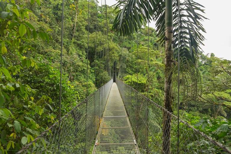 Essential Costa Rica With Extension To Manuel Antonio National Park, Manuel Antonio Beach & San Jose City - 13 days